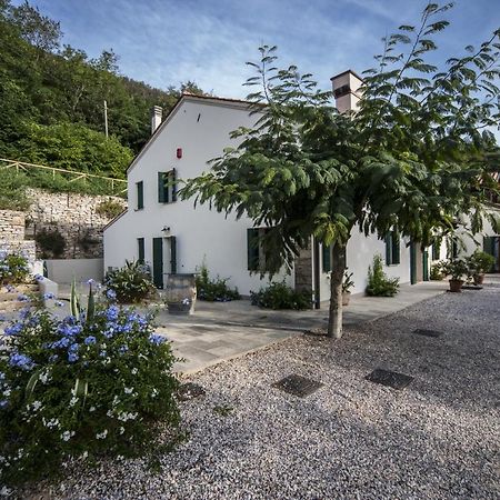 Agriturismo Le Volpi Baone Dış mekan fotoğraf