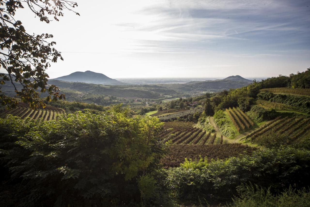 Agriturismo Le Volpi Baone Dış mekan fotoğraf